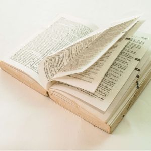 terminology